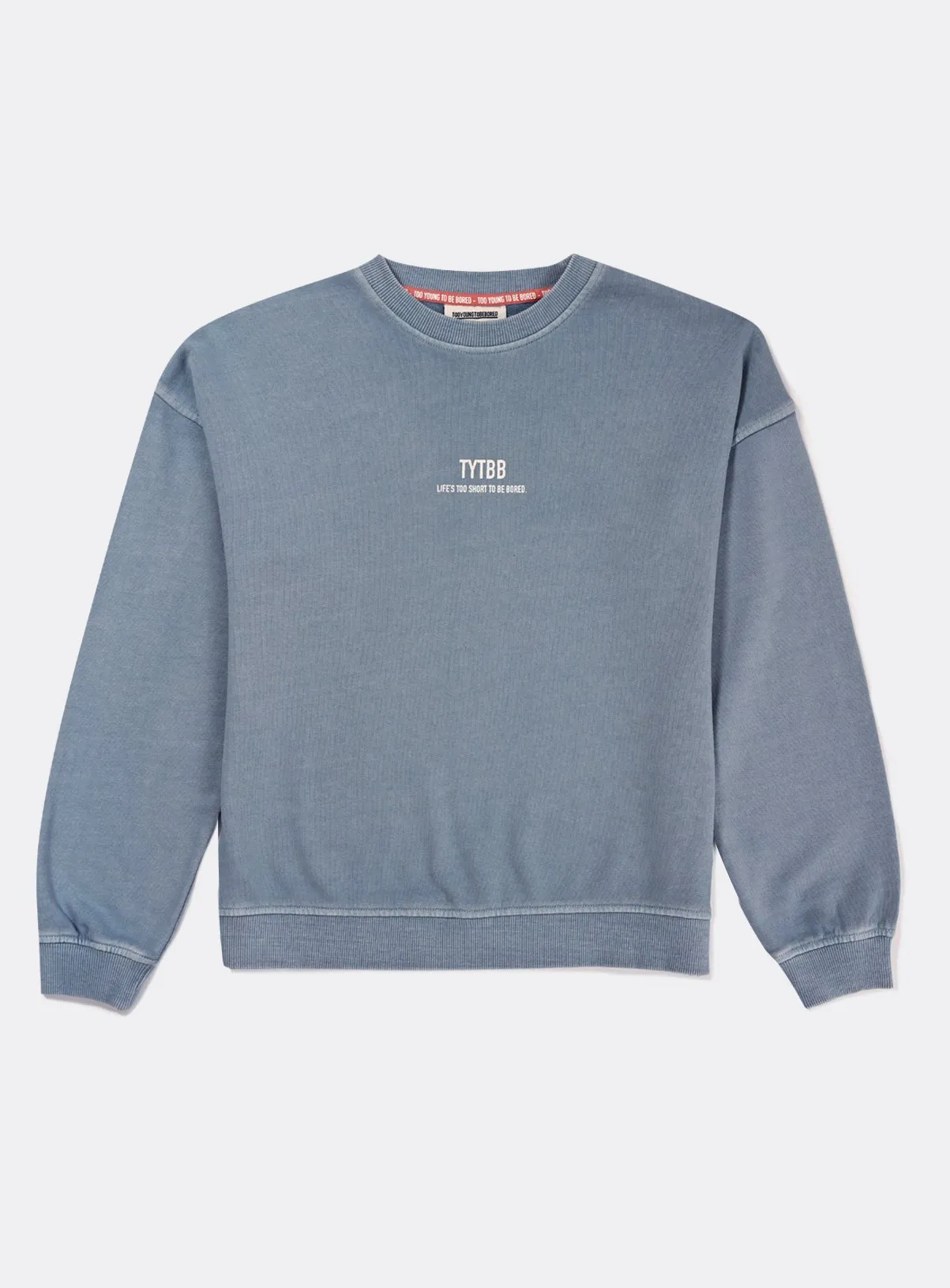 Buy TYTBB Blue Oversized Washed Sweatshirt 14 years | Jumpers and hoodies | Tu