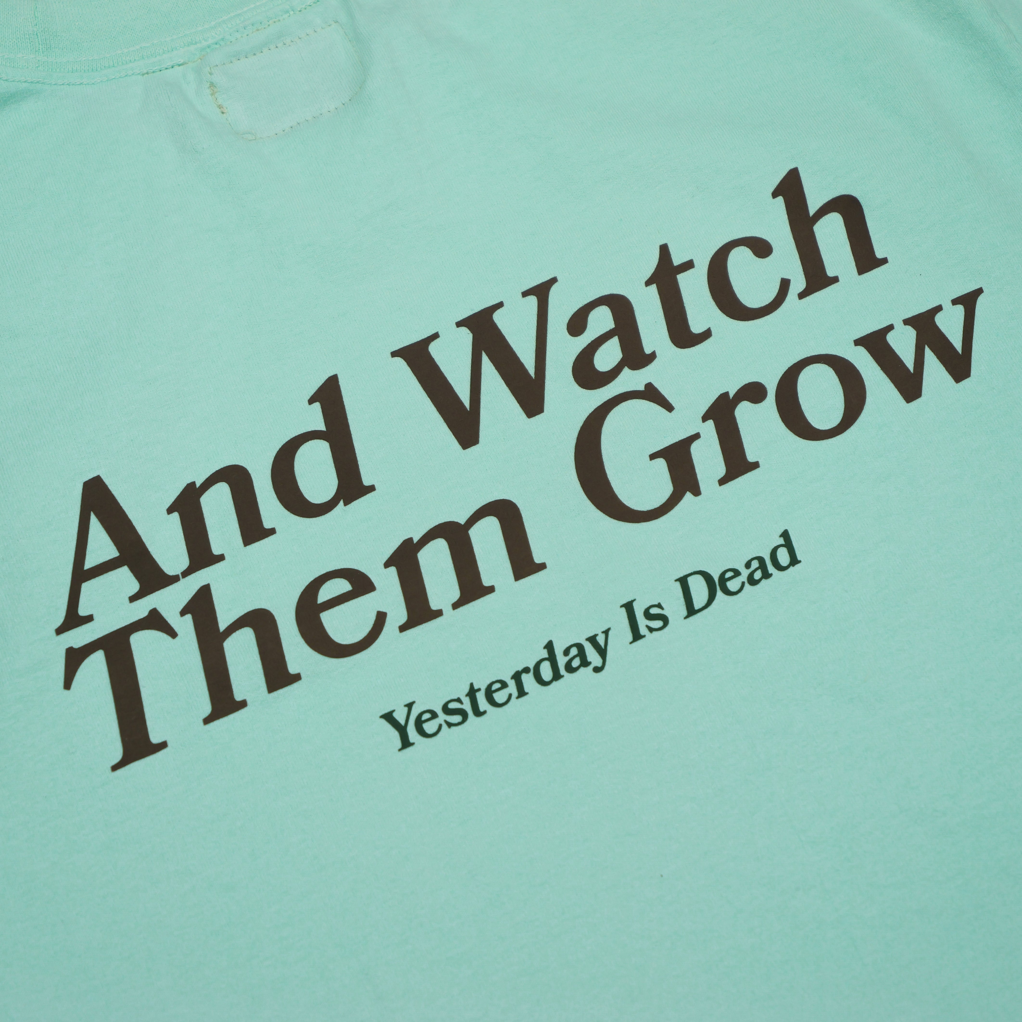 SEEDS TEE BABY BLUE