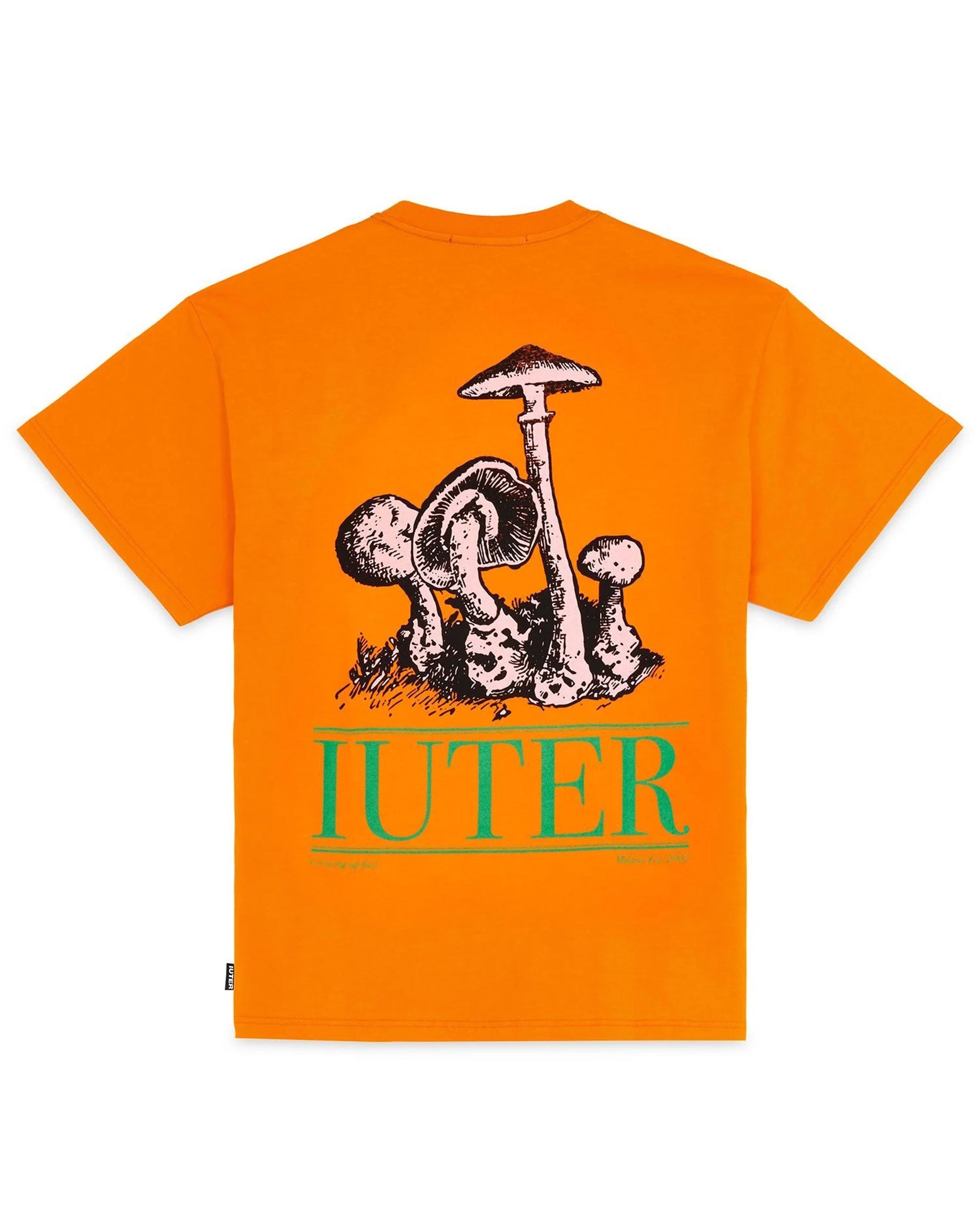 T-Shirt Uomo Iuter Growing Tee Arancione